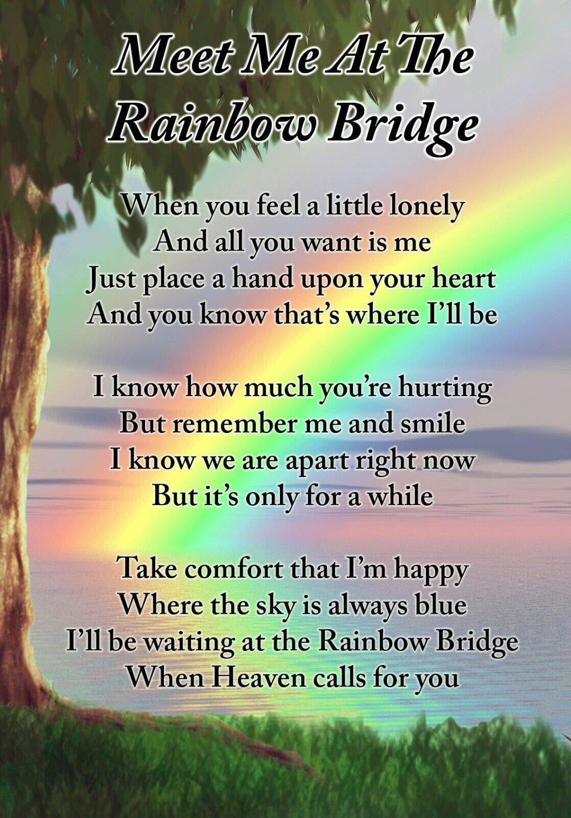 Detail Rainbow Bridge Images Free Nomer 28