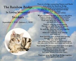 Detail Rainbow Bridge Images Free Nomer 32