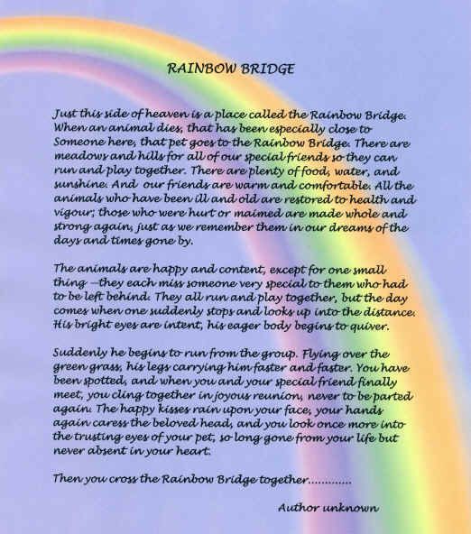 Detail Rainbow Bridge Images Free Nomer 5