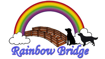 Detail Rainbow Bridge Images Free Nomer 51