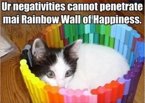 Detail Rainbow Cat Meme Nomer 10
