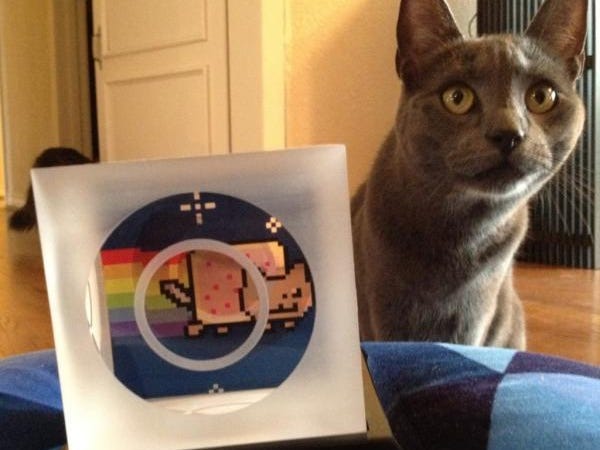 Detail Rainbow Cat Meme Nomer 16