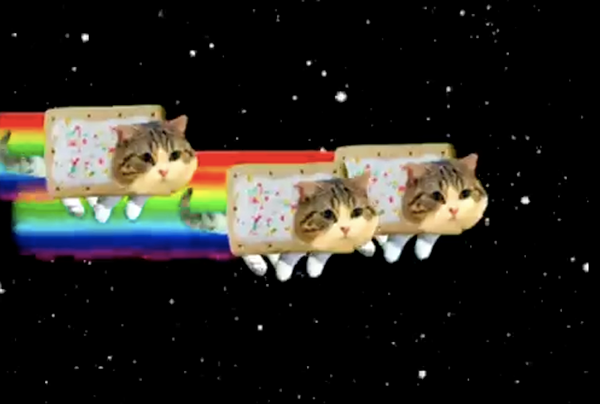Detail Rainbow Cat Meme Nomer 44
