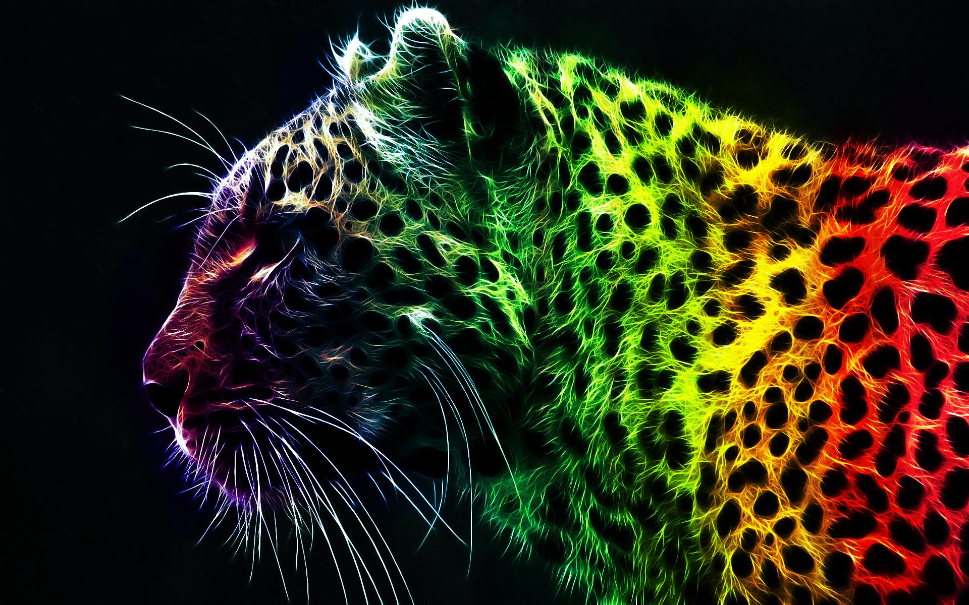 Detail Rainbow Cheetah Wallpaper Nomer 12