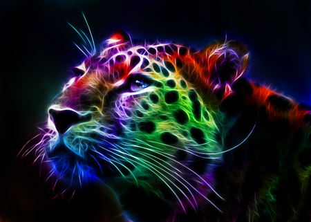 Detail Rainbow Cheetah Wallpaper Nomer 18