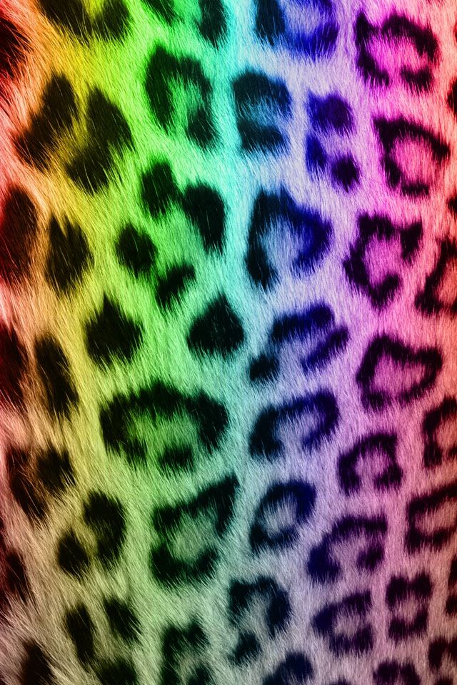 Detail Rainbow Cheetah Wallpaper Nomer 41