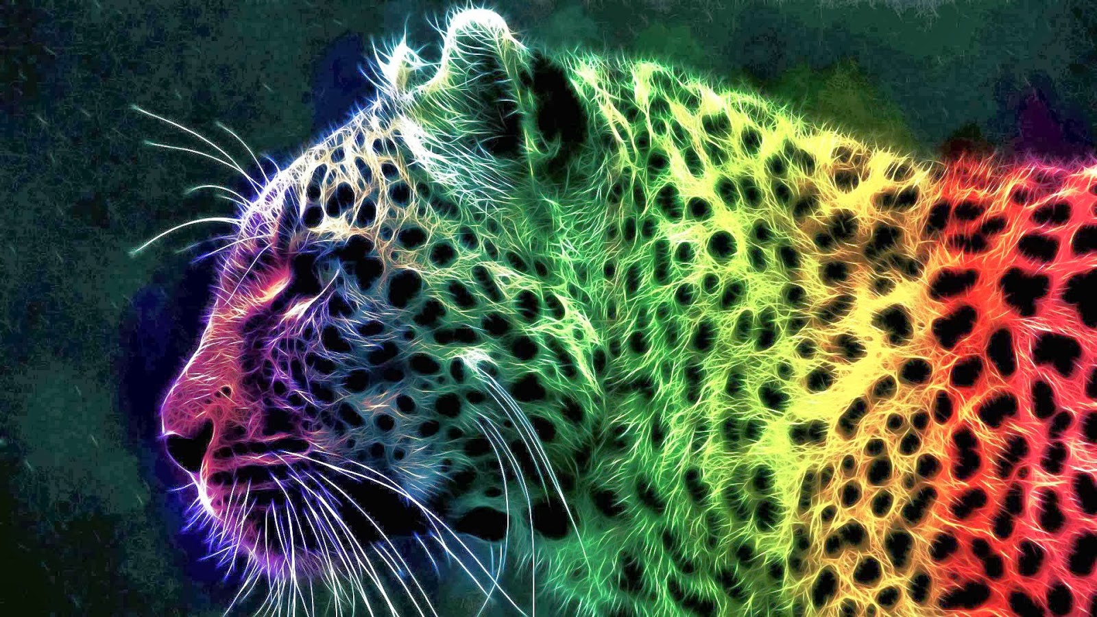 Detail Rainbow Cheetah Wallpaper Nomer 8