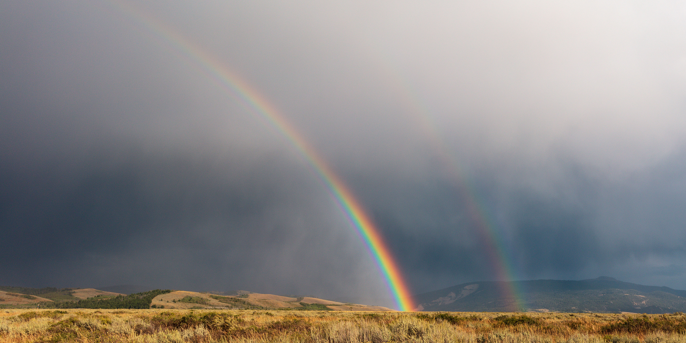 Detail Rainbow Images Nomer 50