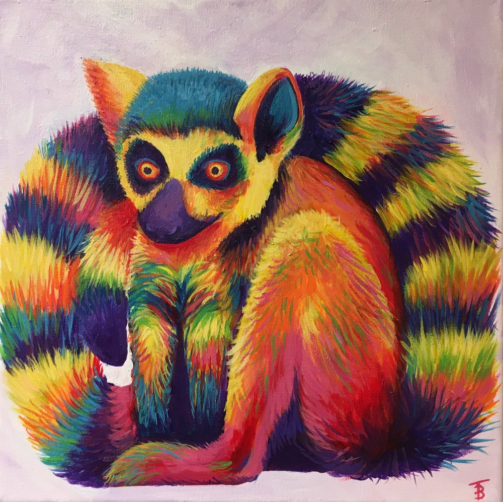 Rainbow Lemur - KibrisPDR