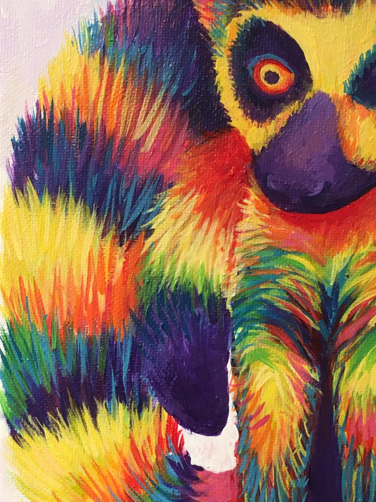 Detail Rainbow Lemur Nomer 12