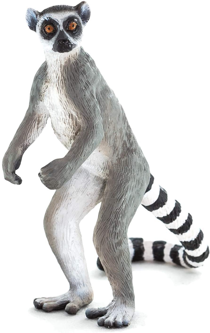 Detail Rainbow Lemur Nomer 25