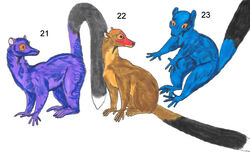 Detail Rainbow Lemur Nomer 47