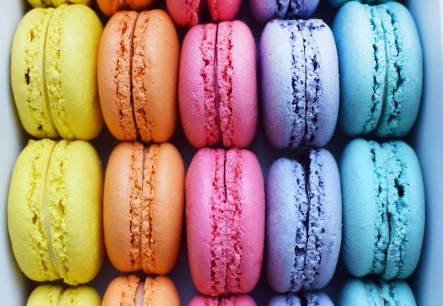 Detail Rainbow Macaron Wallpaper Nomer 29