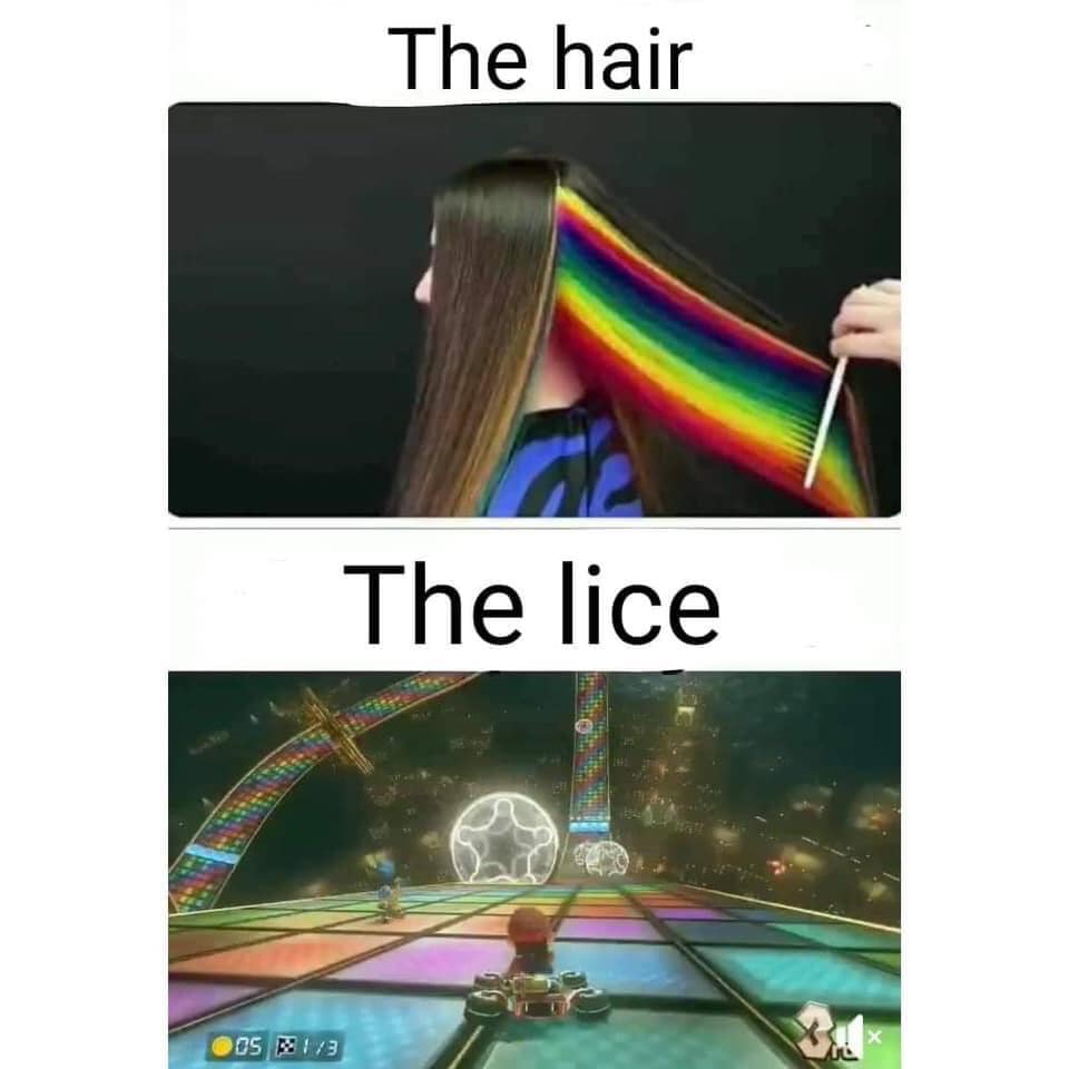 Detail Rainbow Meme Song Nomer 12