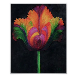 Detail Rainbow Parrot Tulip Nomer 21