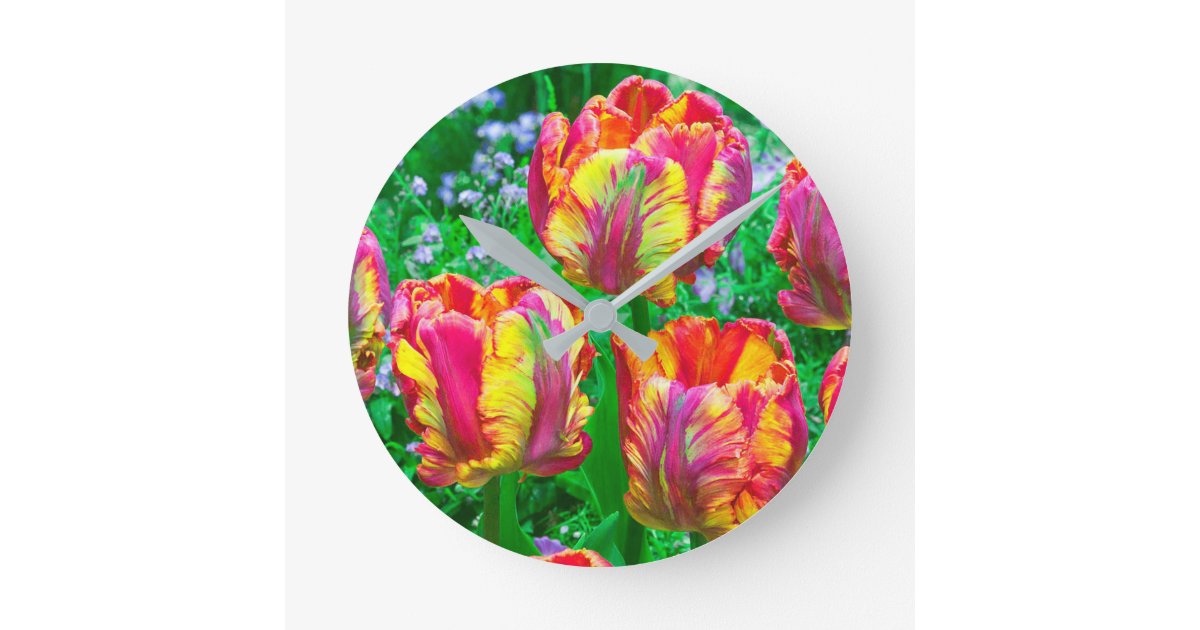Detail Rainbow Parrot Tulip Nomer 29