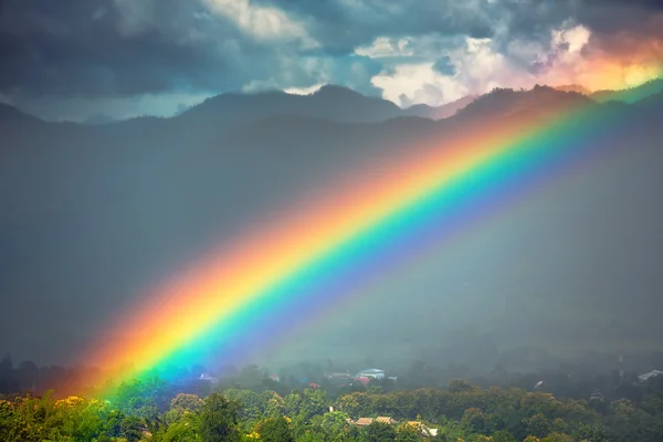 Detail Rainbow Pics Free Nomer 17