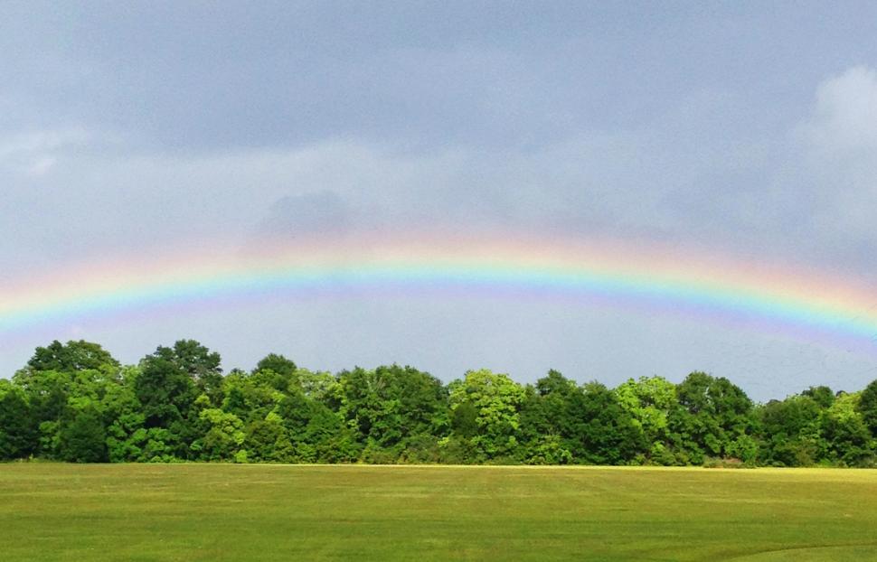 Detail Rainbow Pics Free Nomer 3