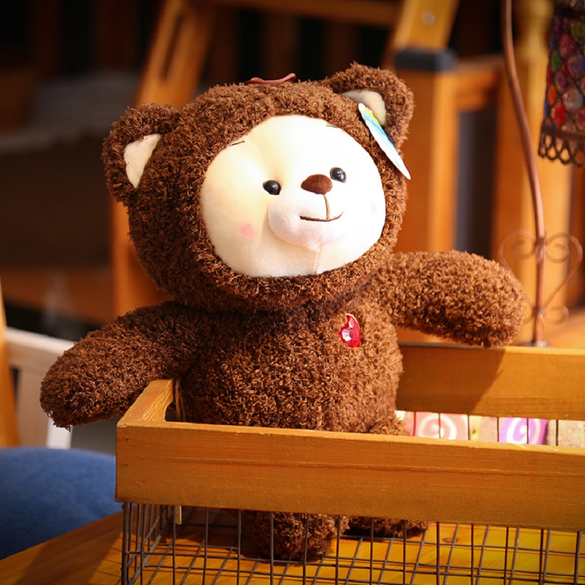 Detail Rainbow Ruby Teddy Bear Nomer 12