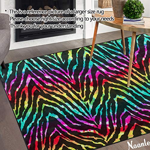 Detail Rainbow Zebra Rug Nomer 21