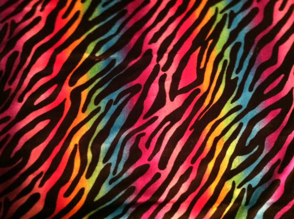 Detail Rainbow Zebra Wallpapers Nomer 21