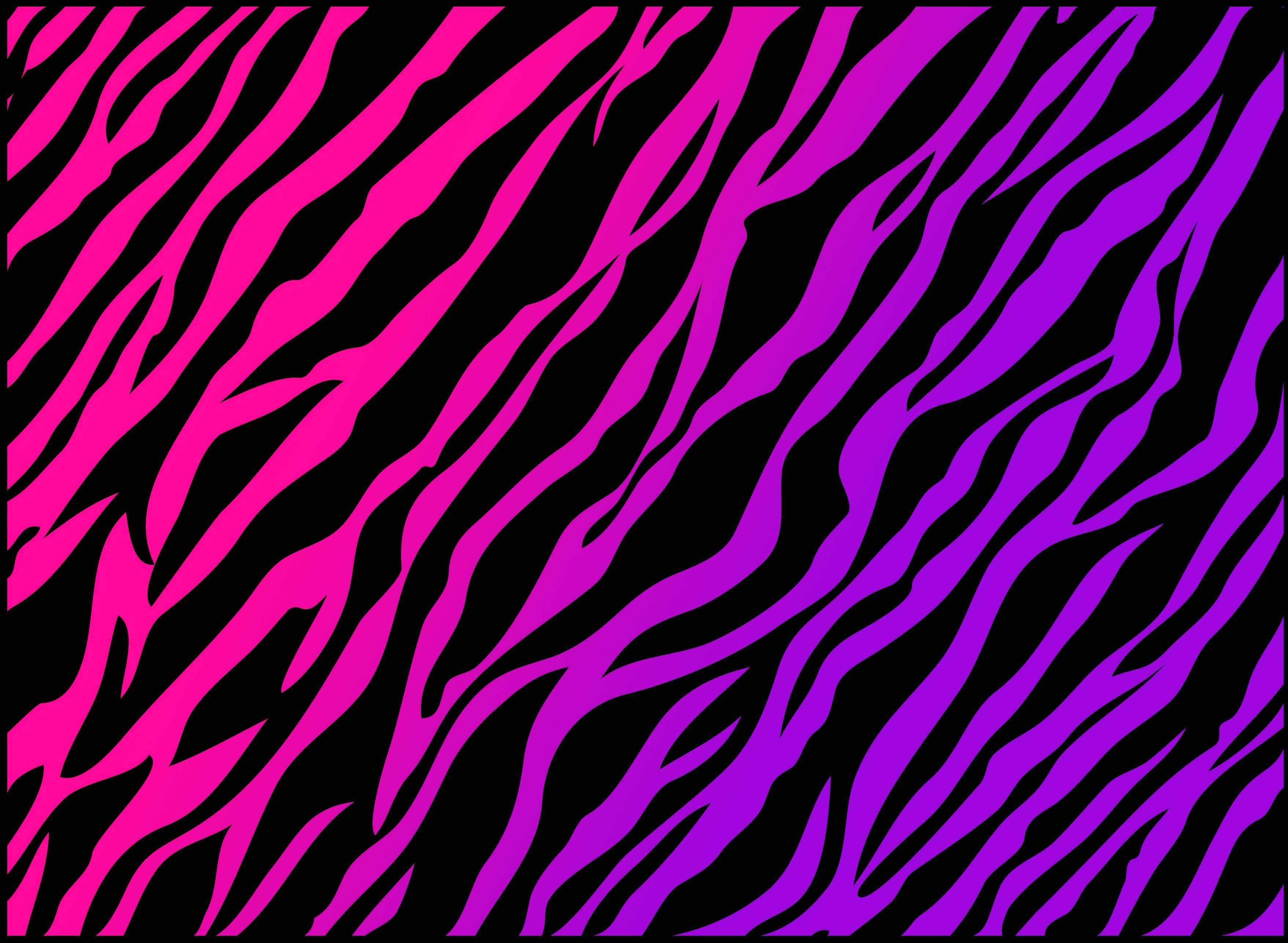 Detail Rainbow Zebra Wallpapers Nomer 22