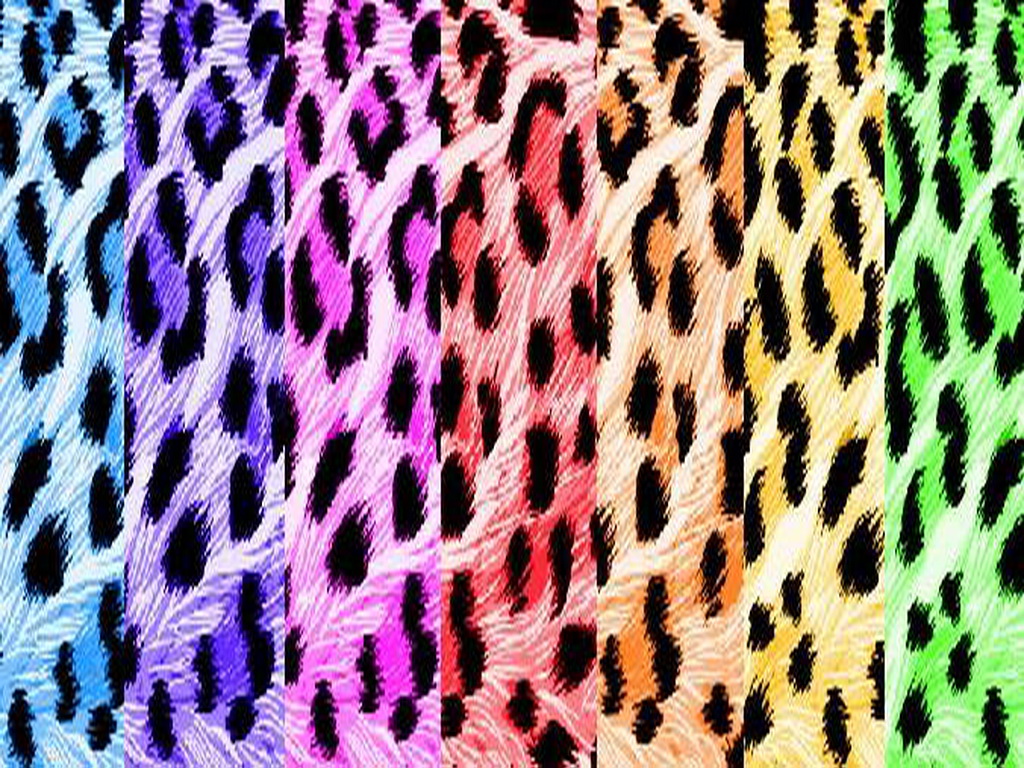 Detail Rainbow Zebra Wallpapers Nomer 25