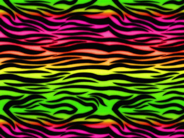 Detail Rainbow Zebra Wallpapers Nomer 5