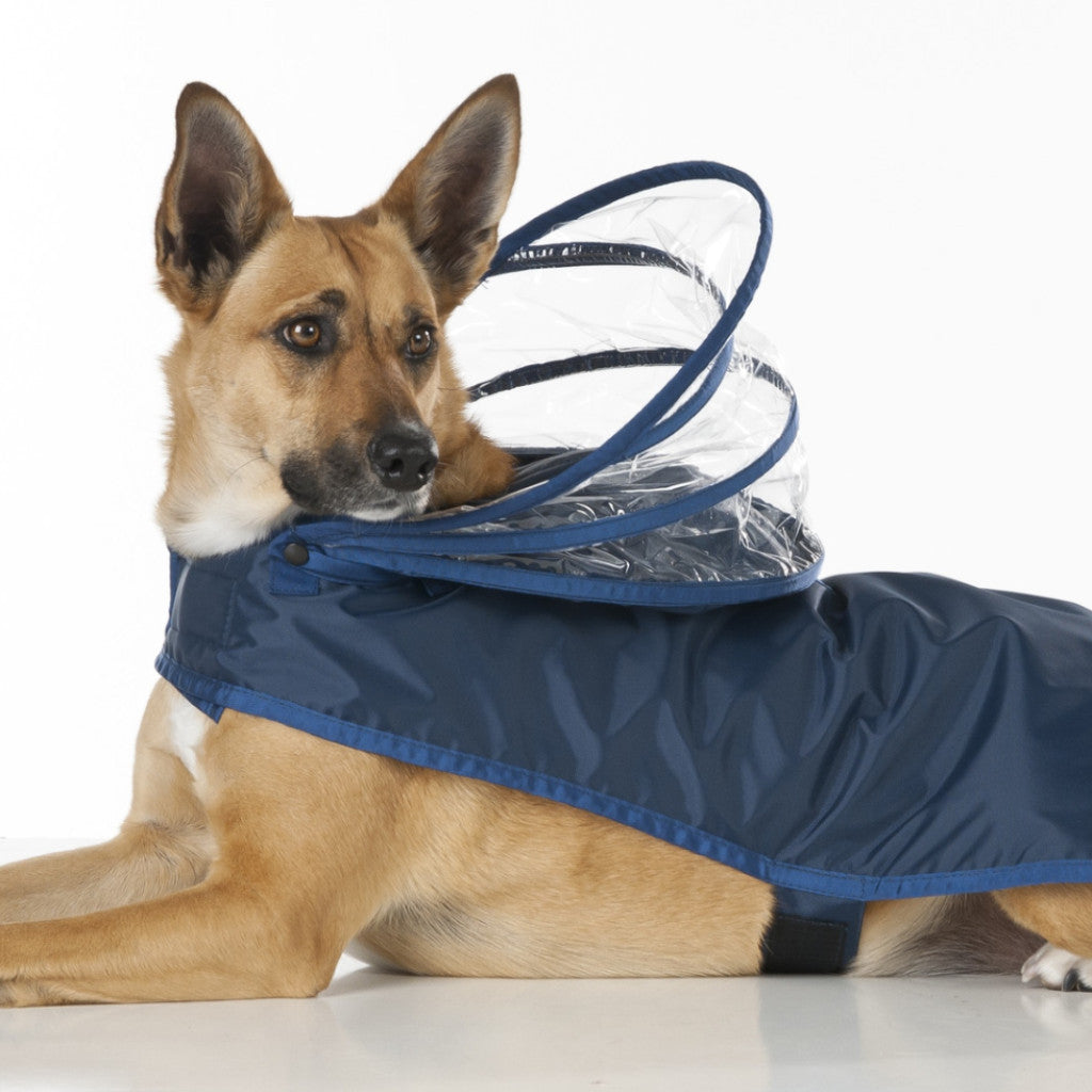 Detail Raincoat For German Shepherd Dogs Nomer 9