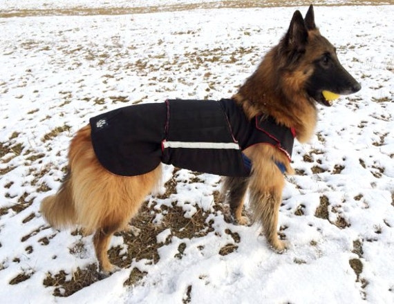 Detail Raincoat For German Shepherd Dogs Nomer 3