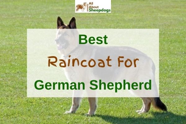 Detail Raincoat For German Shepherd Dogs Nomer 25