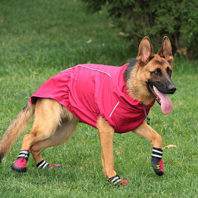 Detail Raincoat For German Shepherd Dogs Nomer 45