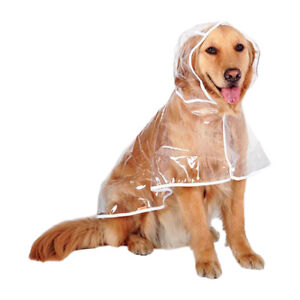 Detail Raincoat For Golden Retriever Nomer 11