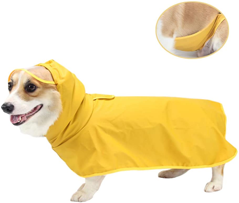 Detail Raincoat For Golden Retriever Nomer 28