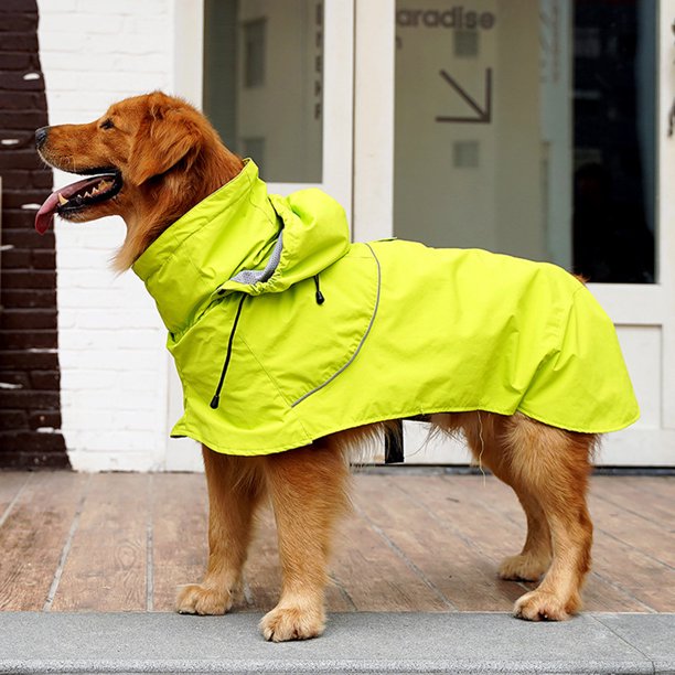 Detail Raincoat For Golden Retriever Nomer 30