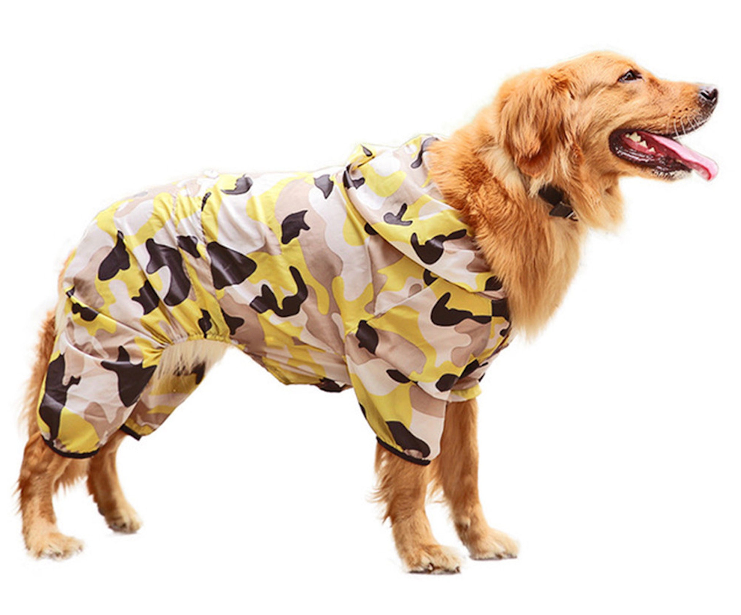 Detail Raincoat For Golden Retriever Nomer 38