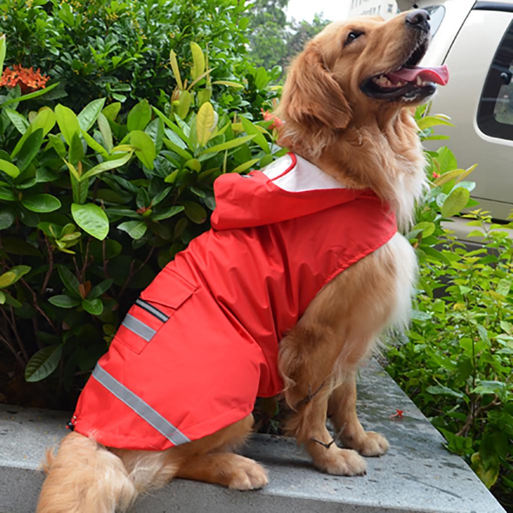 Detail Raincoat For Golden Retriever Nomer 45