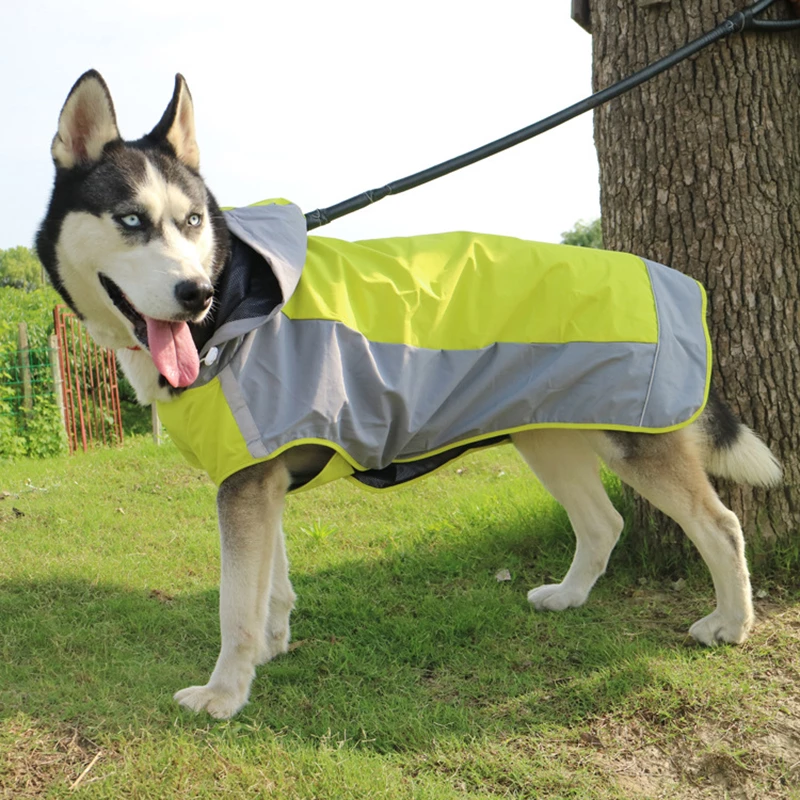 Detail Raincoat For Husky Nomer 21