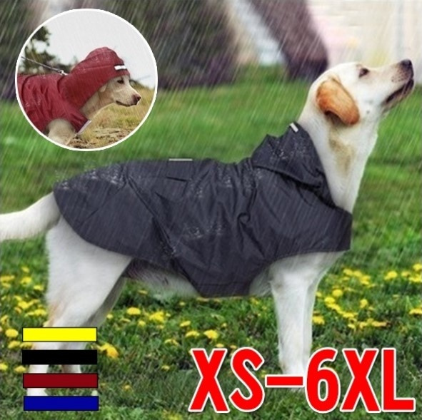 Detail Raincoat For Husky Nomer 24