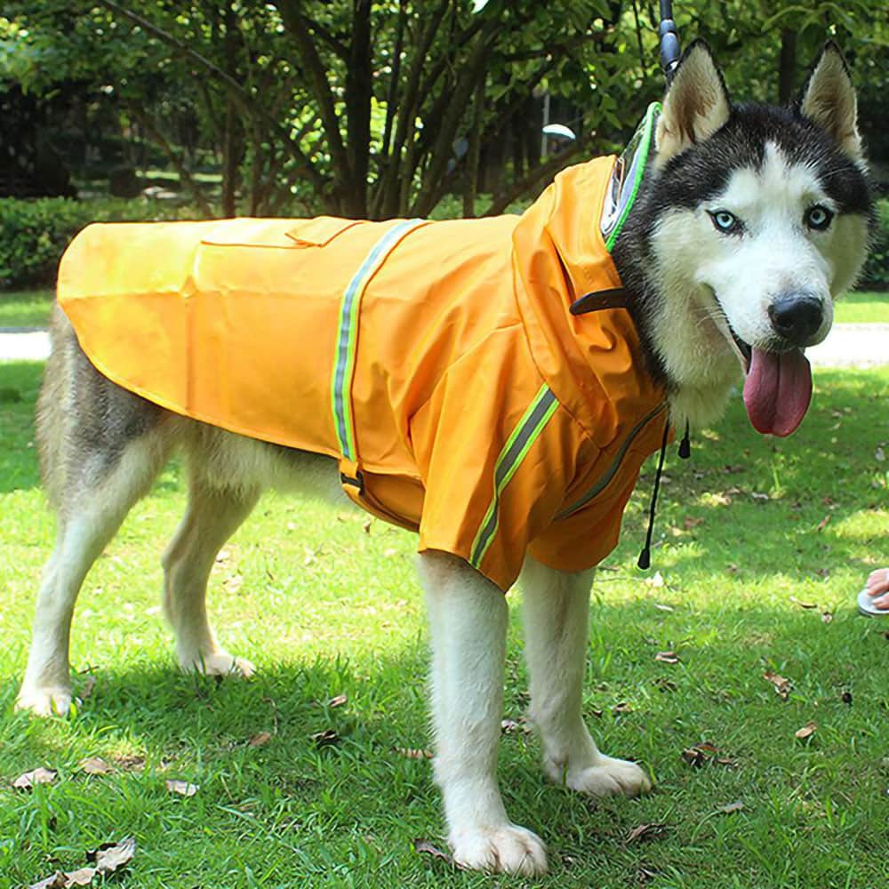 Detail Raincoat For Husky Nomer 32