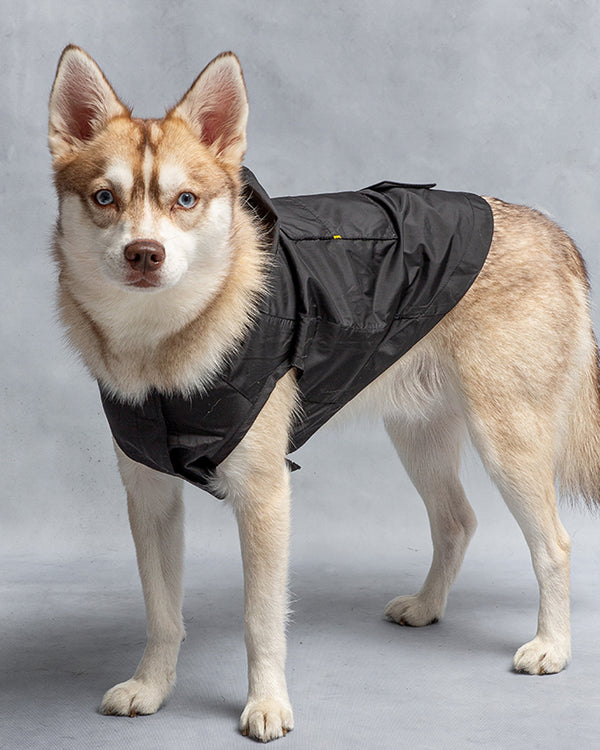 Detail Raincoat For Husky Nomer 43