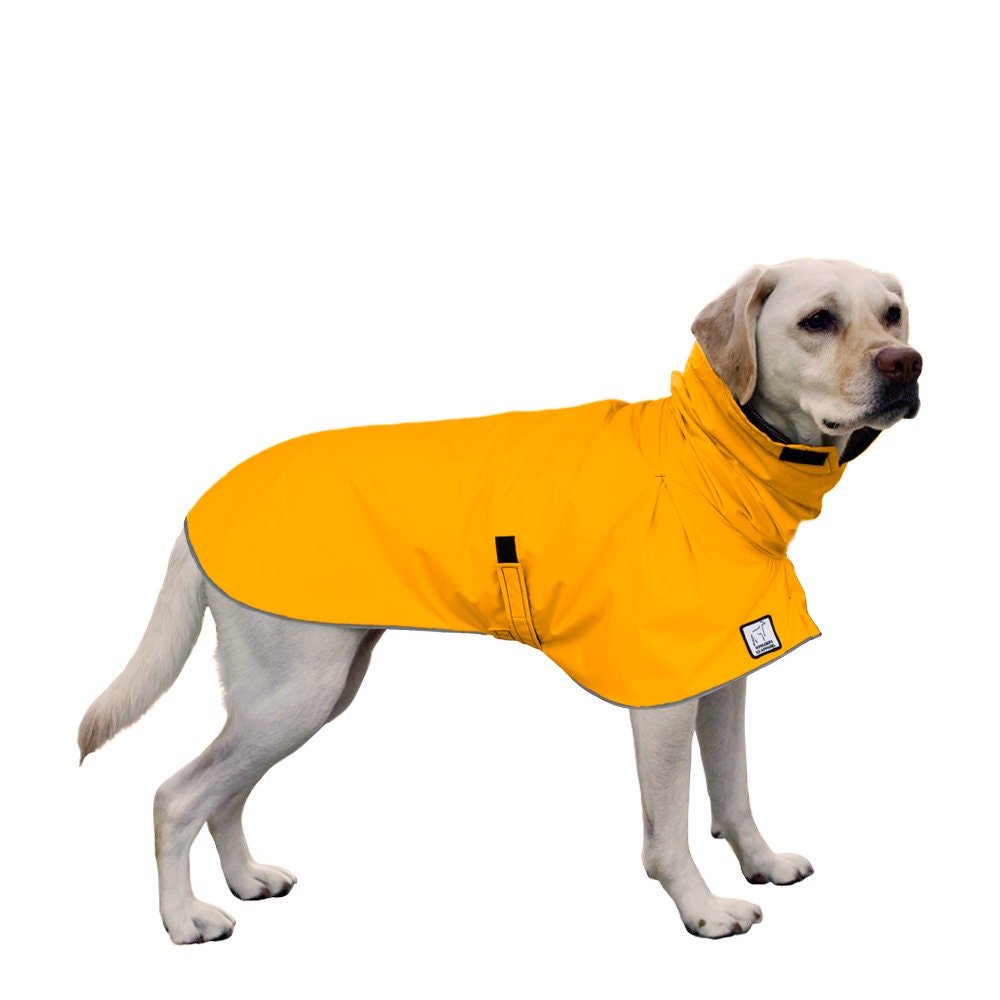 Detail Raincoat For Labrador Nomer 23