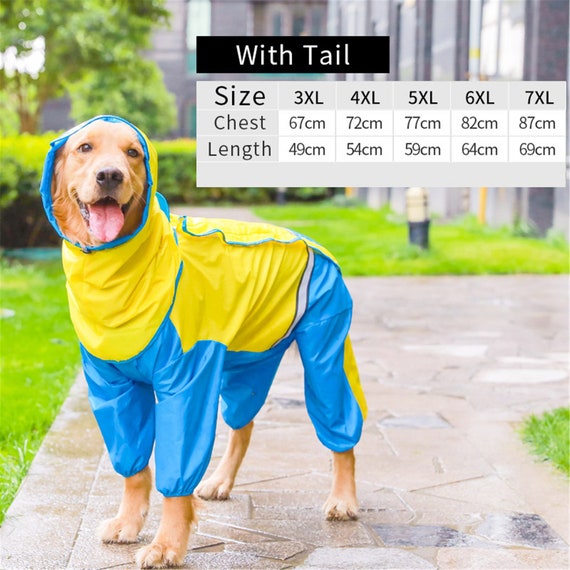 Detail Raincoat For Labrador Nomer 25