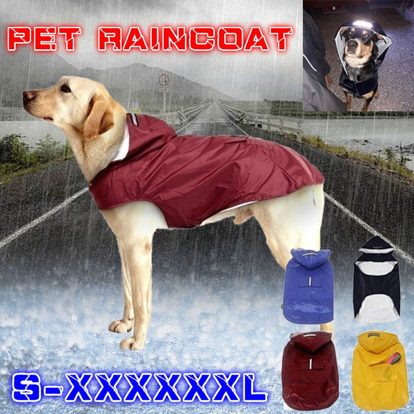 Detail Raincoat For Labrador Nomer 37