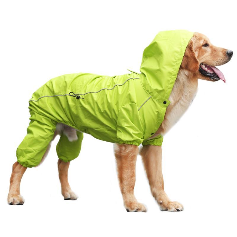 Detail Raincoat For Labrador Nomer 44