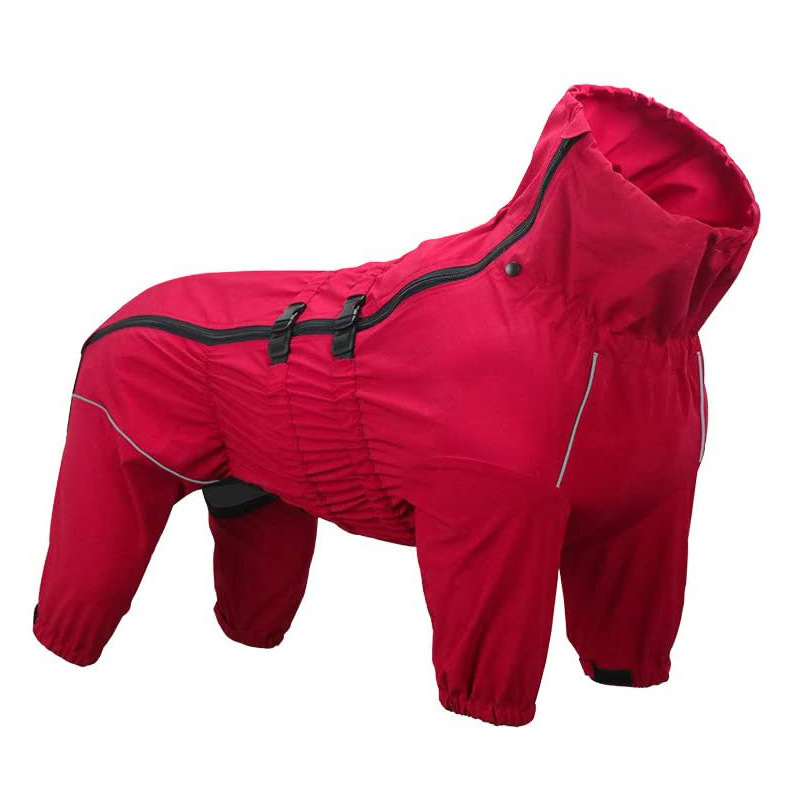 Detail Raincoat For Labrador Nomer 45