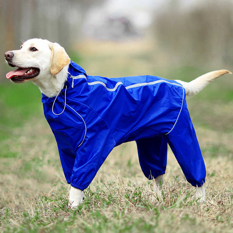 Detail Raincoat For Labrador Nomer 6