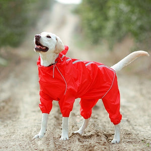 Detail Raincoat For Labrador Nomer 47