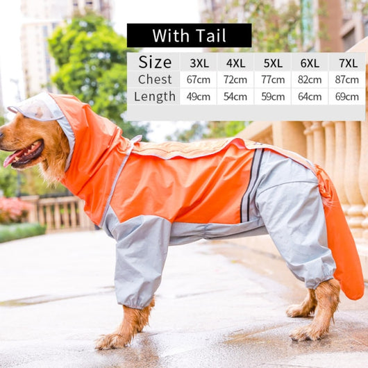 Detail Raincoat For Labrador Nomer 49