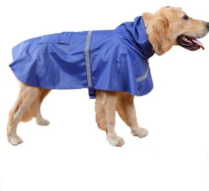 Detail Raincoat For Labrador Nomer 50